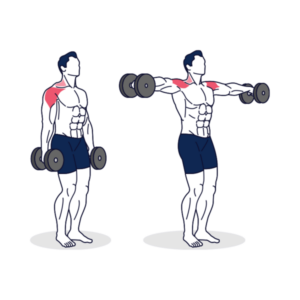 Dumbbell Lateral Raise 31c81eee 81c4 4ffe 890d ee13dd5bbf20 600x600