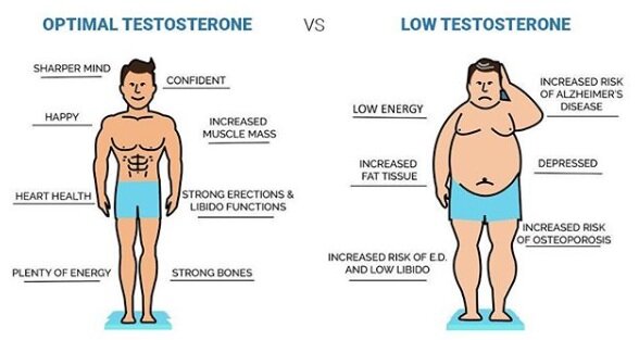 testosteron nasil arttirilir